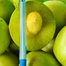 135 Sementes Umbu Gigante