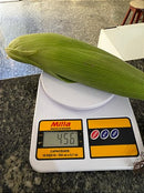 Sementes De Milho Híbrido 3066 BTMax - 2 Kg Alta tecnologia